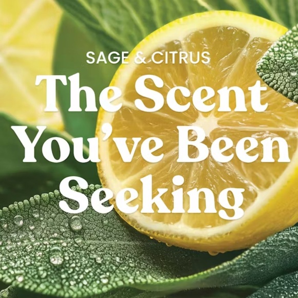 Yankee Candle Sage & Citrus Scented Soy 1 wick,refreshing,relaxing clean scent - Picture 5 of 6